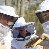 Hilltop Montessori School Photo - Working bee hives on site produce honey for the school and over 15 gardening areas produce healthy snacks. Each class has an outdoor garden and the campus boasts a greenhouse, composting, native plant trails and numerous outdoor opportunities. The campus is certified with the National Wildlife Federation.