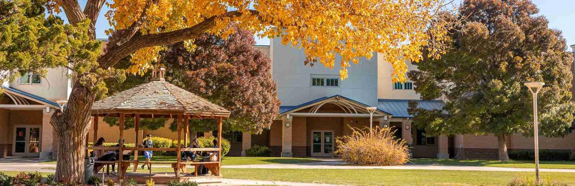 Sandia Preparatory School Photo - Sandia Preparatory School provides a rigorous college prep education in a small class setting for grades 6 - 12.