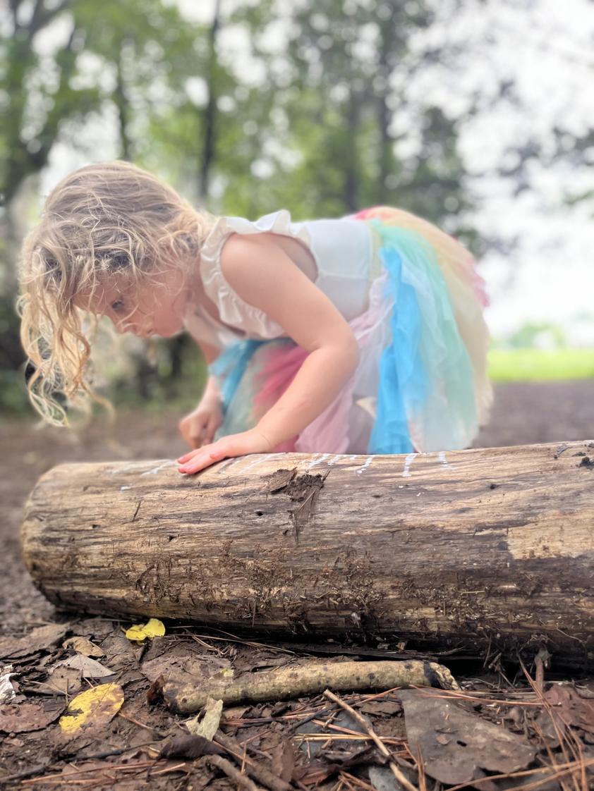 KLA Schools of Huntsville Photo - A Reggio inspired and nature-based school serving children from infants to kindergarten.
